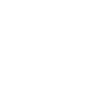 geko